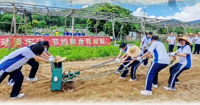 2024级高一学子南泥湾耕读小镇社会实践纪实